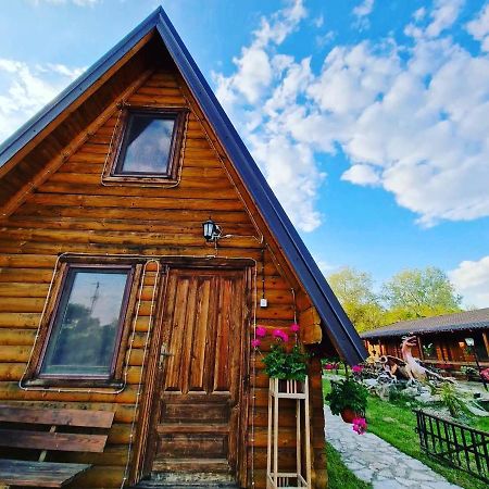 Lolini Bungalovi Novi Sad Exteriör bild