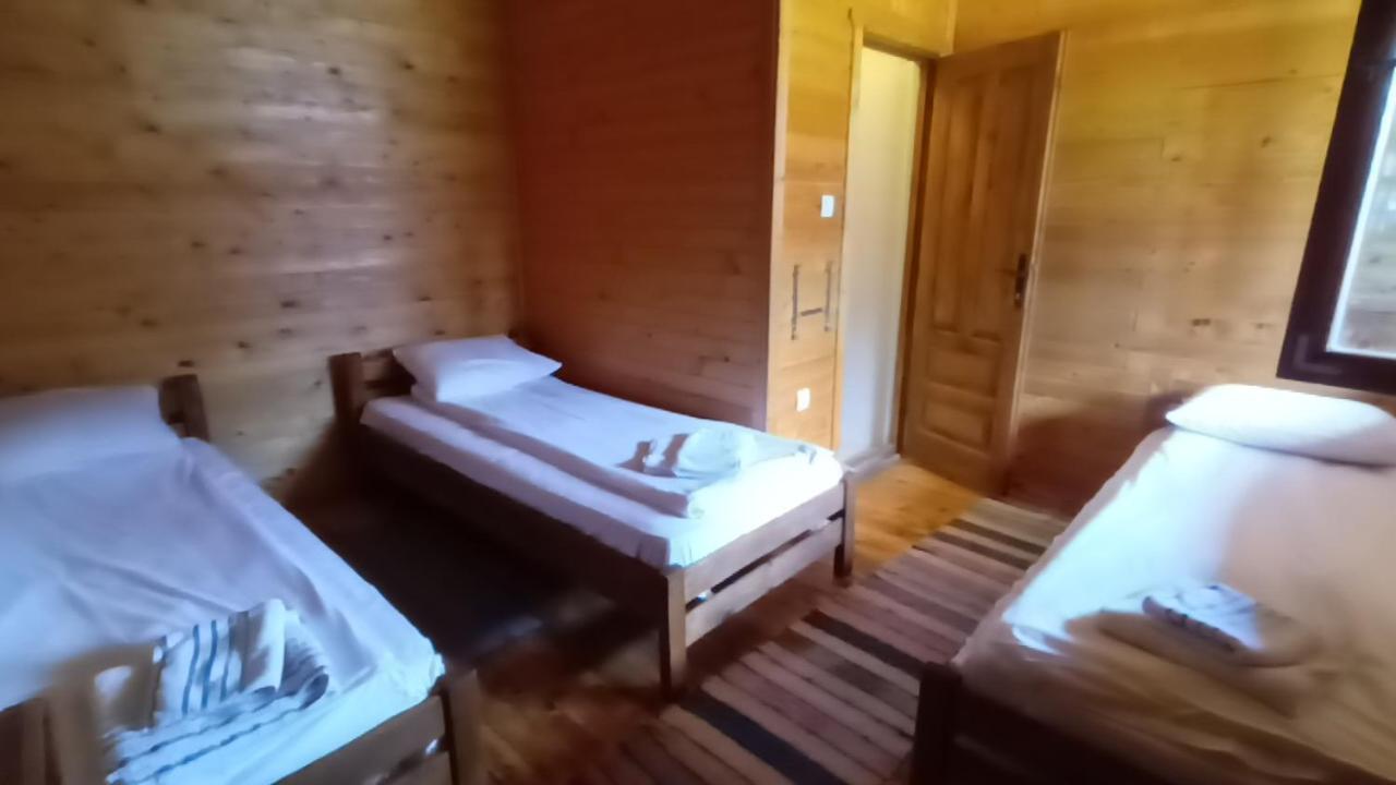 Lolini Bungalovi Novi Sad Exteriör bild