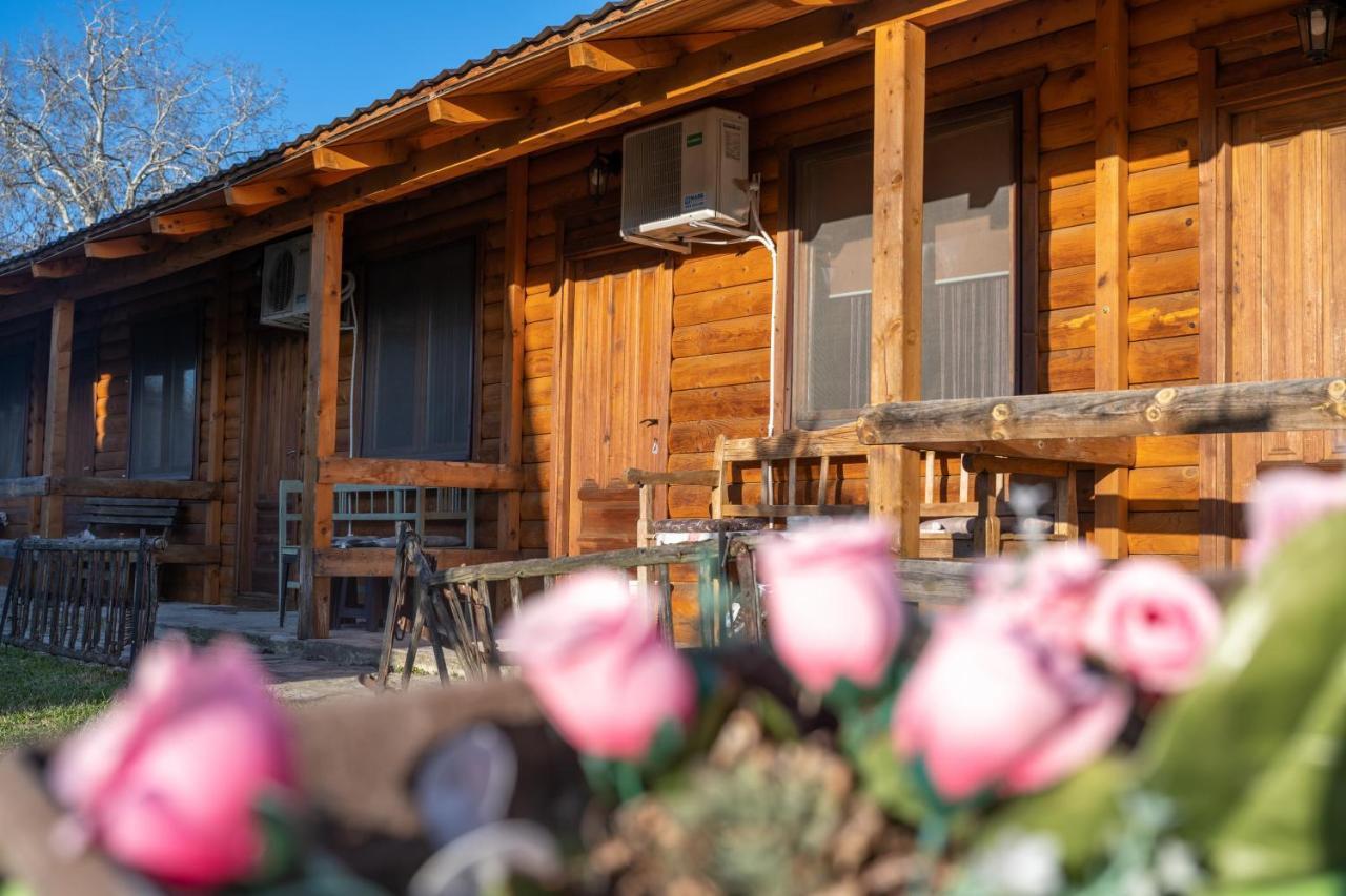 Lolini Bungalovi Novi Sad Exteriör bild